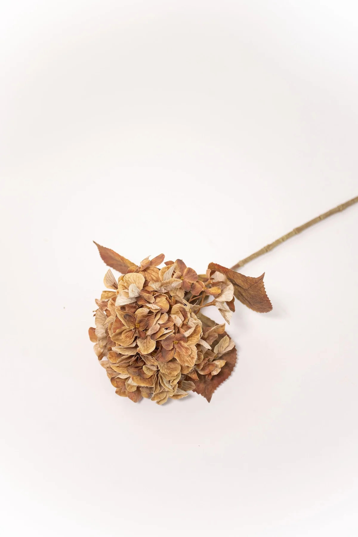 Hydrangea Stem - Rust - 26" | THELIFESTYLEDCO