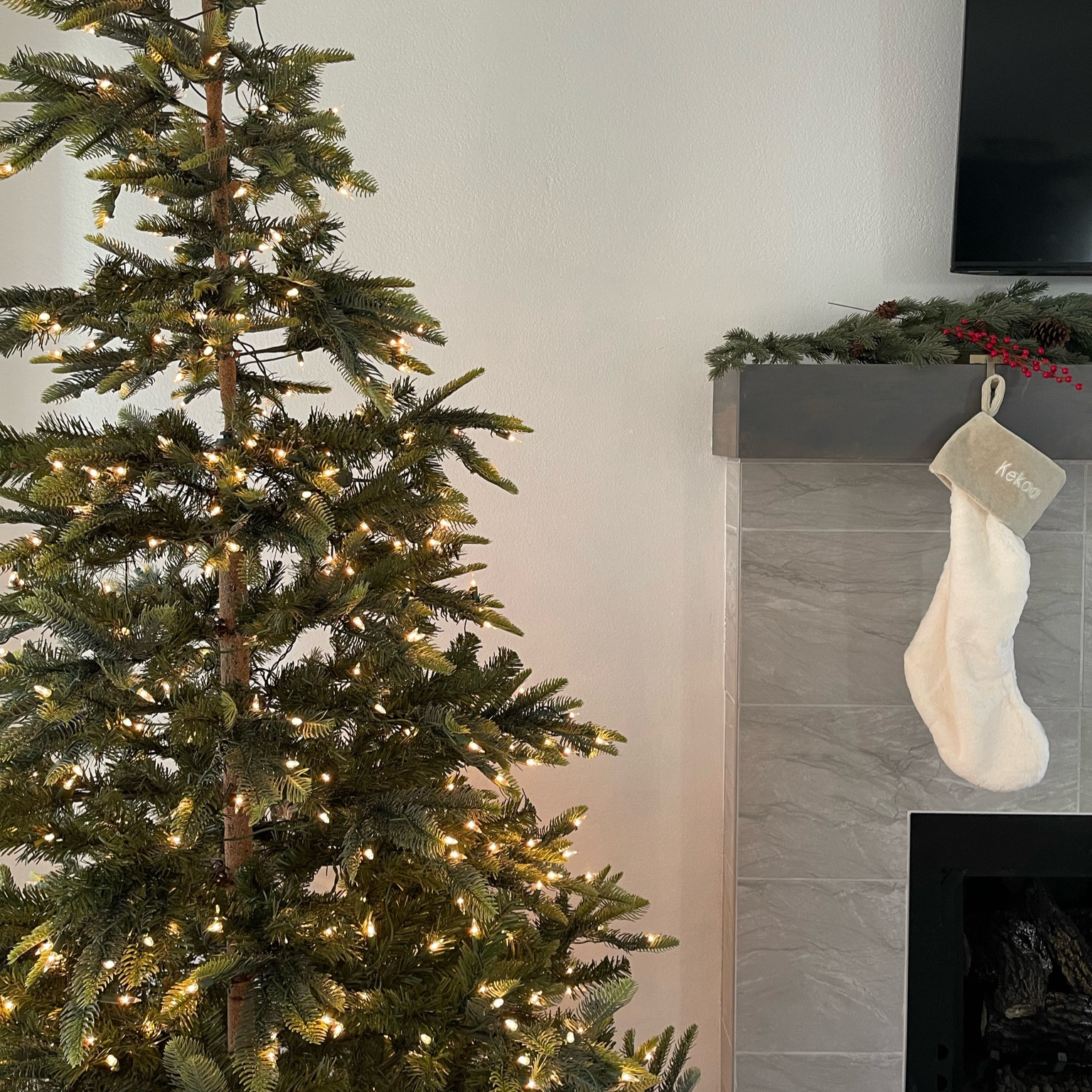 Christmas Purchases 2022

#LTKstyletip #LTKSeasonal #LTKHoliday