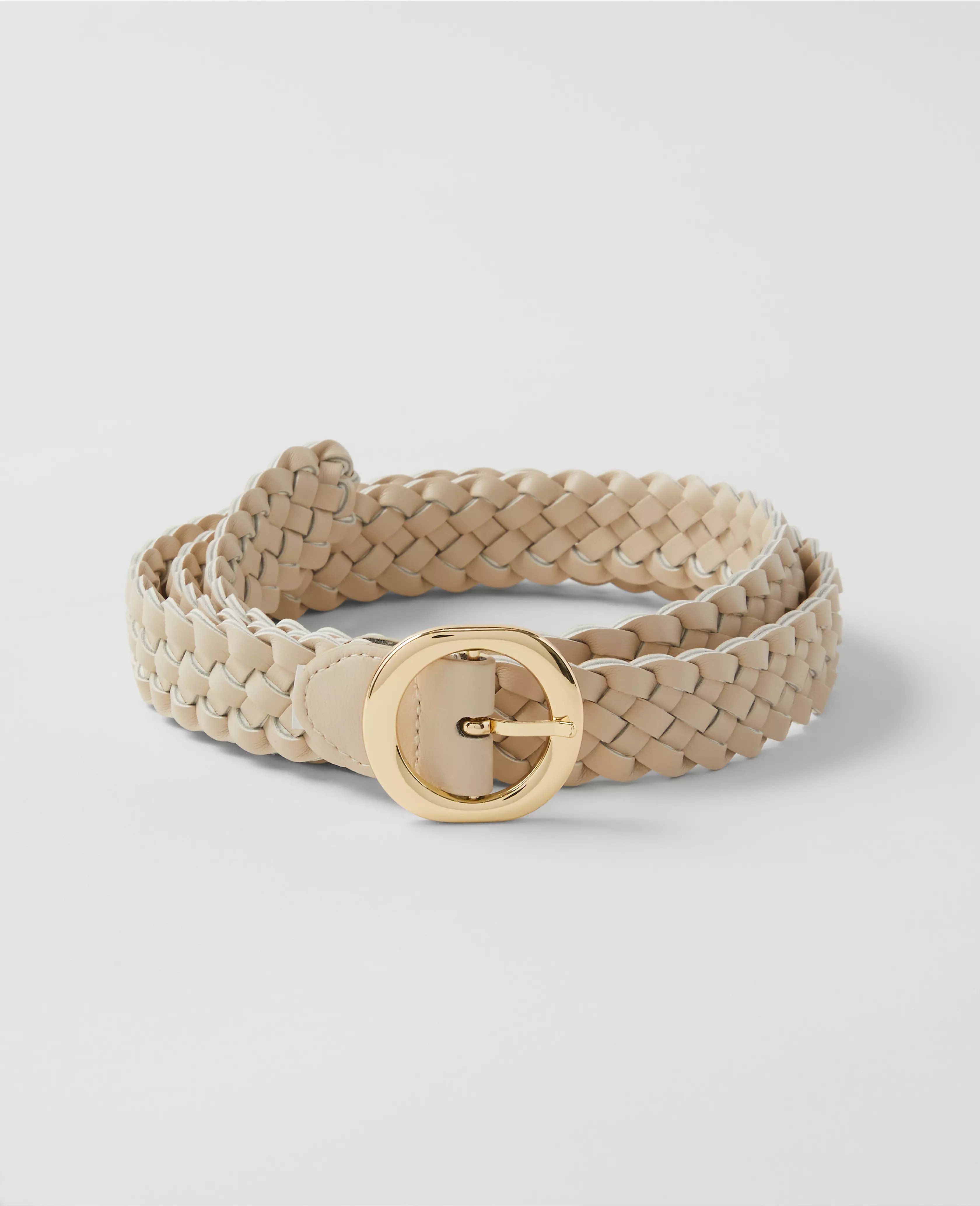 Circle Buckle Braided Belt | Ann Taylor