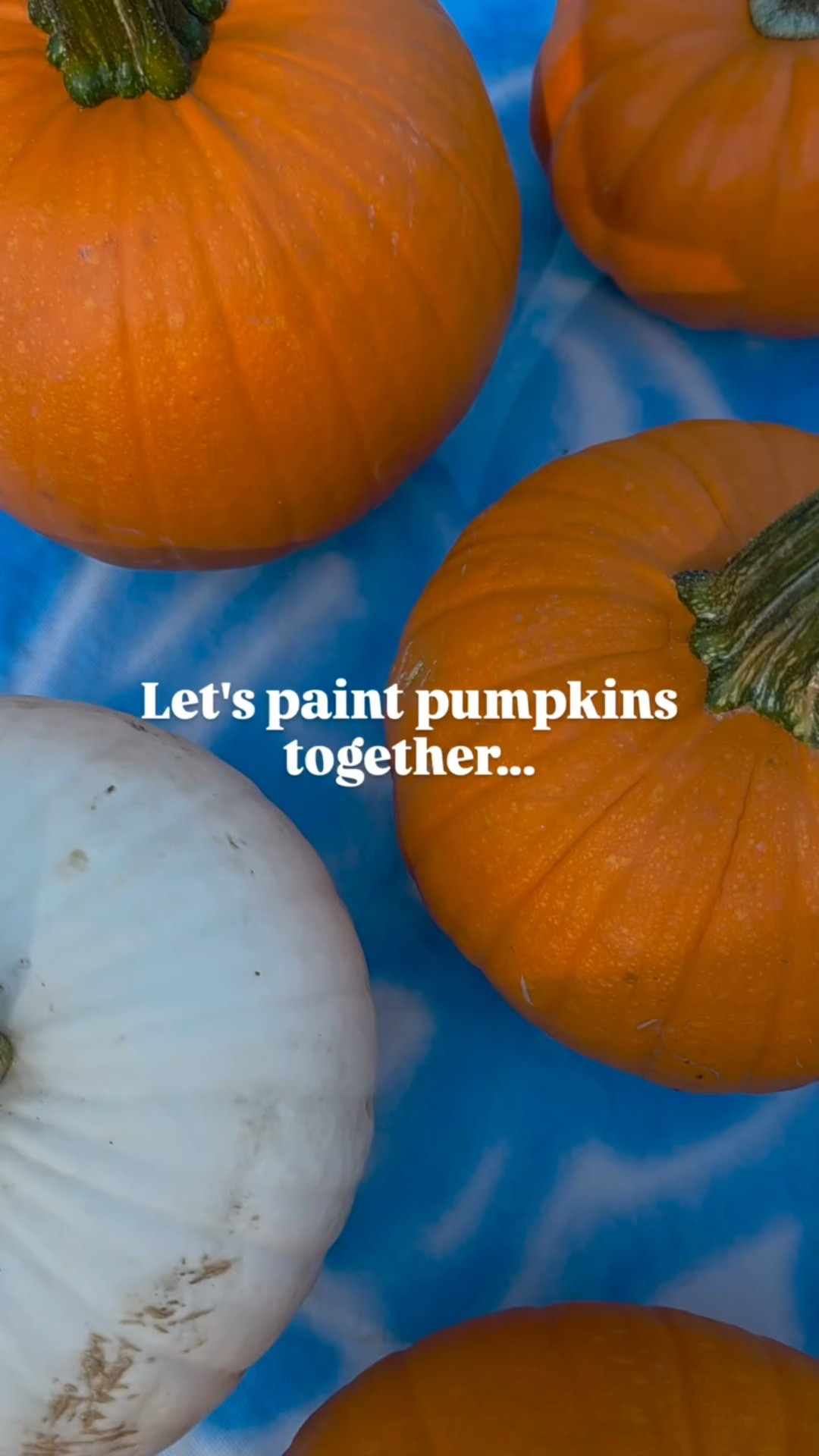 Over the weekend we gathered the cousin crew and turned pumpkins into masterpieces. The kids had so much fun (and so did the adults) and I was really impressed with their creativity shining through! This little tradition is officially a yearly must-do. It was a perfect autumn day! 🍂 

Huge shoutout to @plaidcrafts for making this tradition so easy and fun! Their paints are so vibrant and perfect for bringing out everyone's creativity! Honestly, I'm blown away by how good the pumpkins turned out! 

Do you paint pumpkins in the fall? Tell me in the comments? 

Comment PUMPKIN for a link to shop all of the  @plaidcrafts we used for this activity! 

#ad #plaidcrafts #fallactivity #fallcraft #craftingwithkids #paintingpumpkins #kidsactivities #kidscrafts