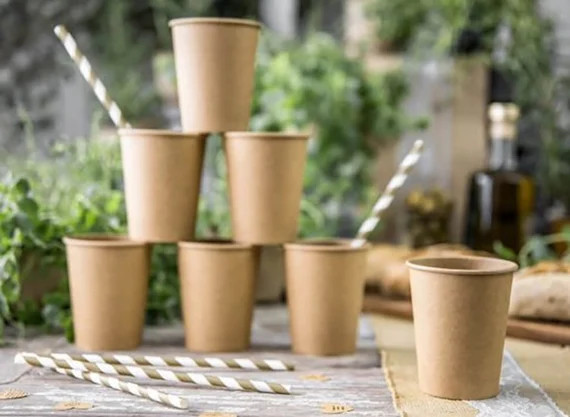 10 Kraft Party Cups Birthday Party Cups Wedding Party Cups - Etsy | Etsy (US)