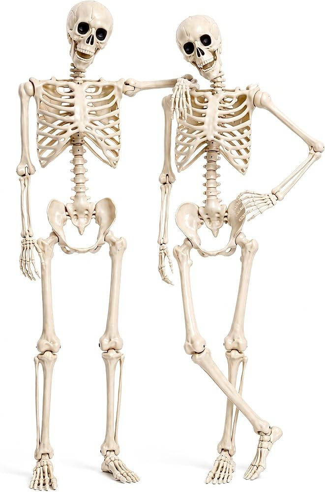 LINAYE 2 Pack 5.4ft Life Size Halloween Skeleton with Movable Joints | Amazon (US)
