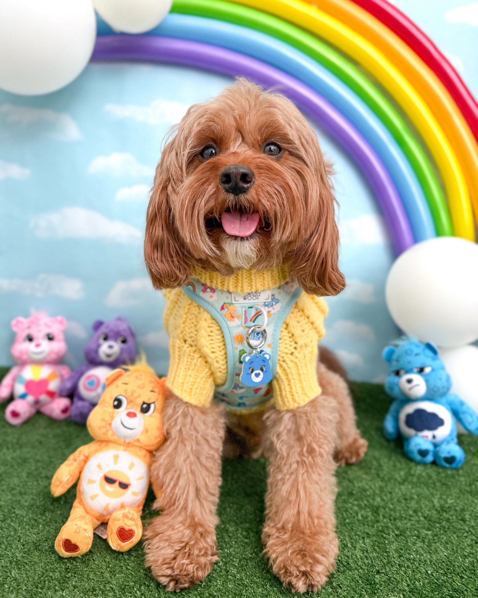 Care Bears fan? Me too!! This fit is a must have for spring/summer! Harness & sweater from @sassywoof OLLIE10 to save, Care bear tag from @dozeofdvibe OLLIE to save. Linked care bear plushies below! 🐻🌈