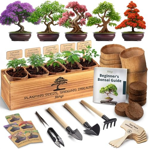 Bonsai Tree Kit for Beginners – 5X Unique Japanese Bonzai Trees | Complete Indoor Bonsai Starter Kit for Growing Bonsai Plants with Tools & Planters – DIY Gardening Gifts for Women & Men | Amazon (US)