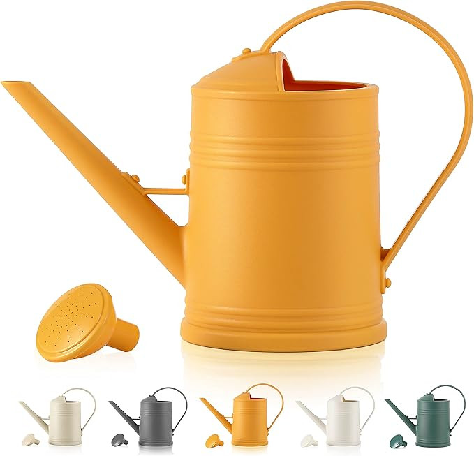 Watering Can for Indoor Plants, Flower Watering Can with Detachable Sprinkler Head, Indoor Wateri... | Amazon (US)