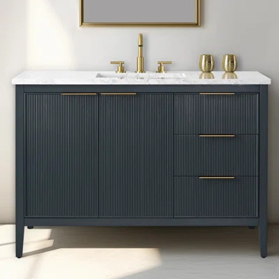 Bilroy 48" Single Vanity | Wayfair North America