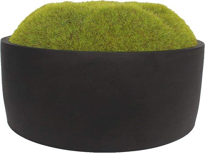 MD MACOMINE DESIGN Moss Bowl | Artificial | Hand-Painted Cement Bowl | Centerpiece | Home Décor ... | Amazon (US)