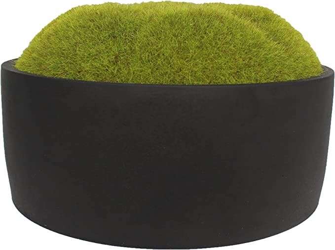 MD MACOMINE DESIGN Moss Bowl | Artificial | Hand-Painted Cement Bowl | Centerpiece | Home Décor ... | Amazon (US)