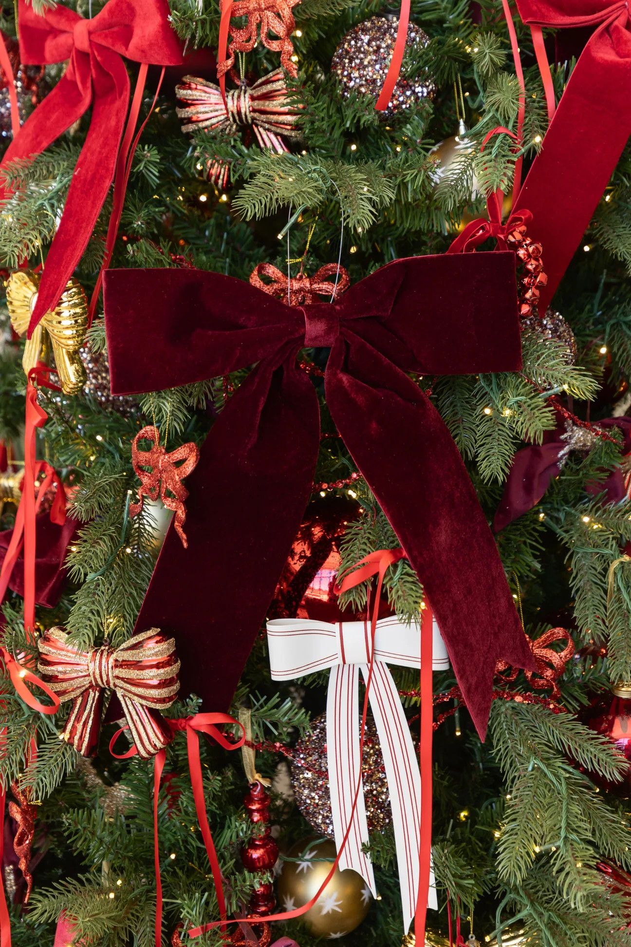 Velvet Bow - Dark Red - 2 Sizes | THELIFESTYLEDCO