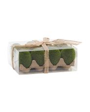 Set Of 12 Mossy Eggs | TJ Maxx