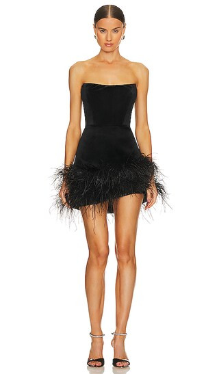 Fiora Mini Dress in Black | Revolve Clothing (Global)