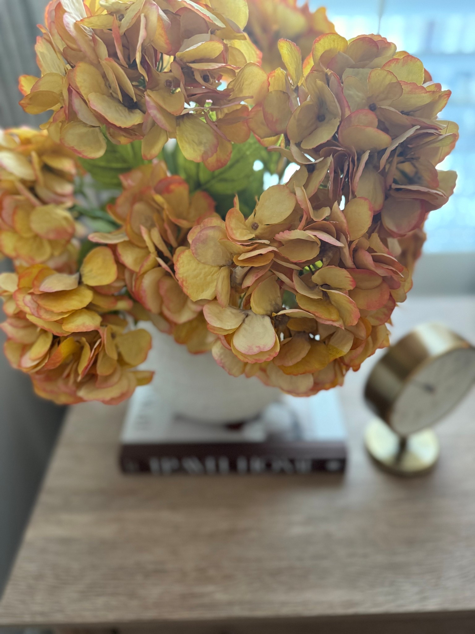 Gorgeous Fall stems! 

#LTKSeasonal #LTKHome #LTKFindsUnder50