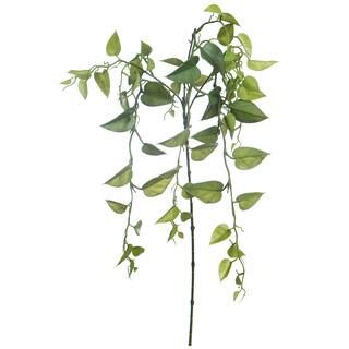 Green Heartleaf Philodendron Stem by Ashland® | Michaels Stores