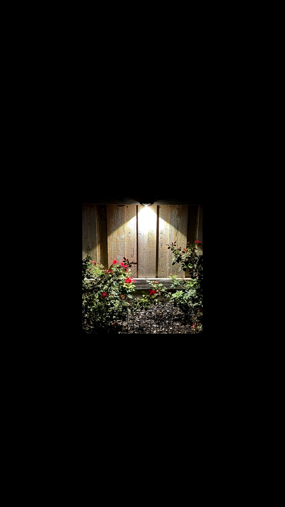 Shine Bright, Rain or Night: These Solar Lights Steal the Show

Love these solar lights! Super easy, waterproof, and give off the perfect cozy glow. The Warm White is my favorite, but you can switch up the light to fit any vibe. Highly recommend!

#outdoorlights
#lights
#backyardlights

#LTKHome #LTKFindsUnder50