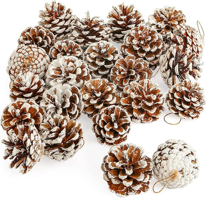 JOHOUSE 24PCS Natural White Pine Cones for Winter and Christmas Decor | Amazon (US)