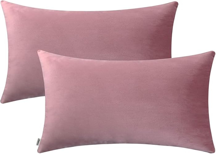 Jeneoo Comfy Decor Velvet Throw Pillow Covers for Home Sofa Decorative Lumbar Couch Cushion Cases... | Amazon (US)