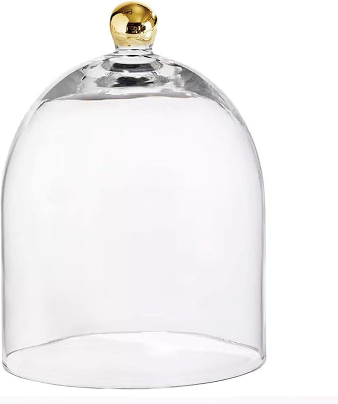 Glass Dome Food Cover Gold Knob Cloche, Small, Clear | Amazon (US)