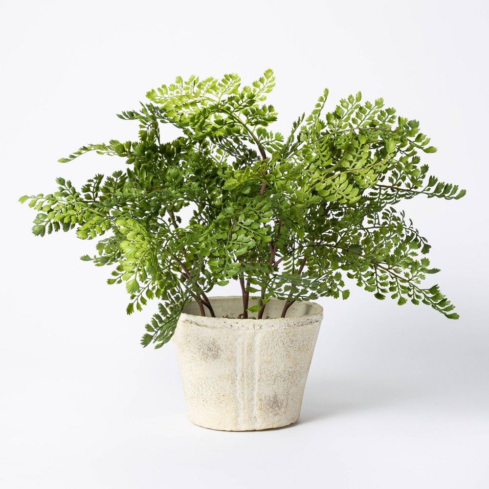 18"" x 15"" Artificial Fern Plant in Pot - Threshold designed with Studio McGee | Target