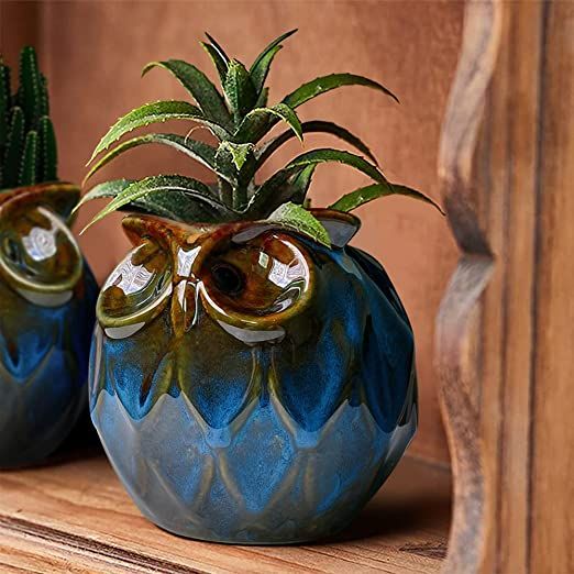 GeLive Blue Owl Ceramic Succulent Planter with Drainage Plug Animal Plant Pot Tabletop Decoration... | Amazon (US)