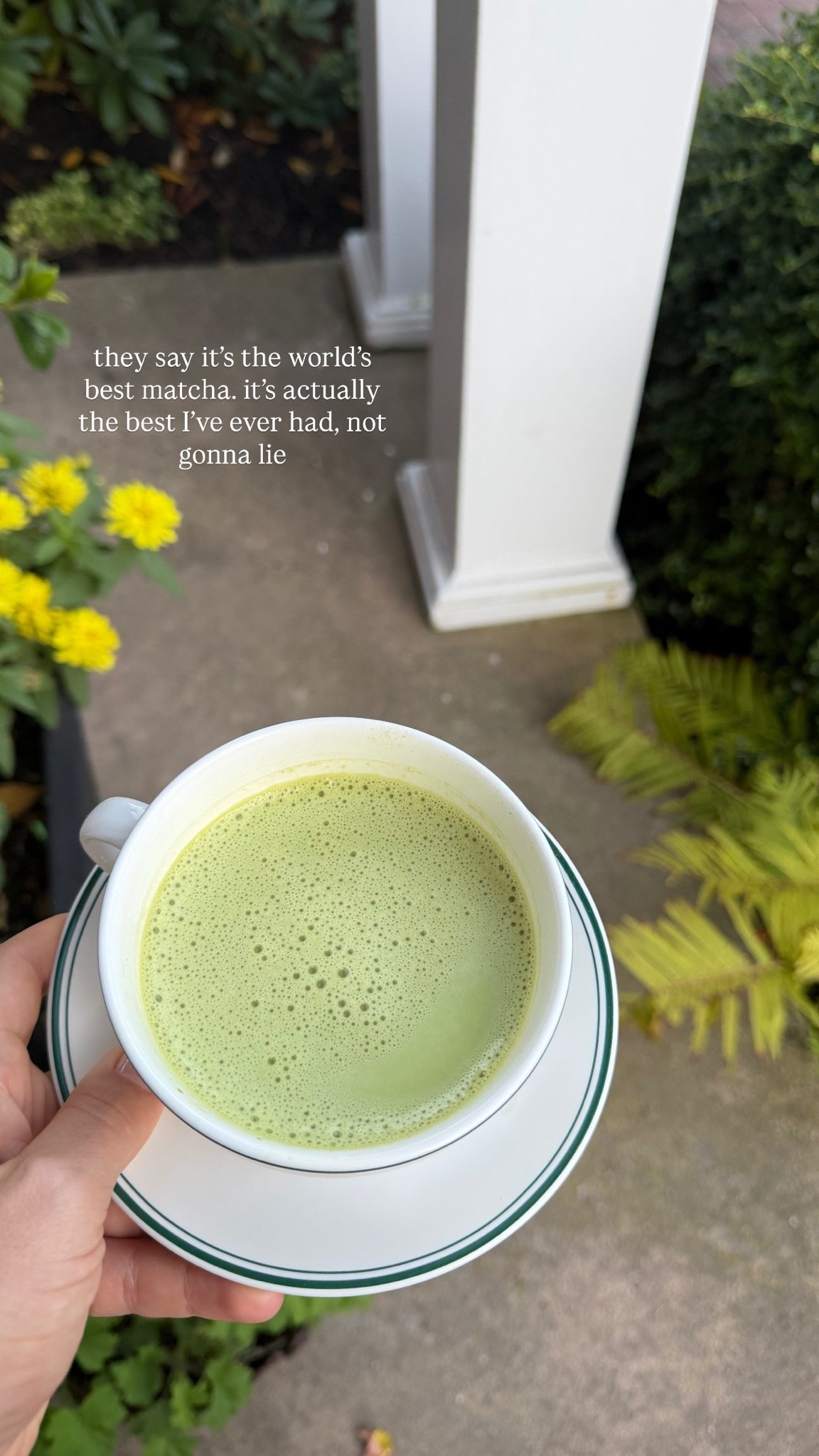 the world’s best matcha (ceremonial grade) 🍃