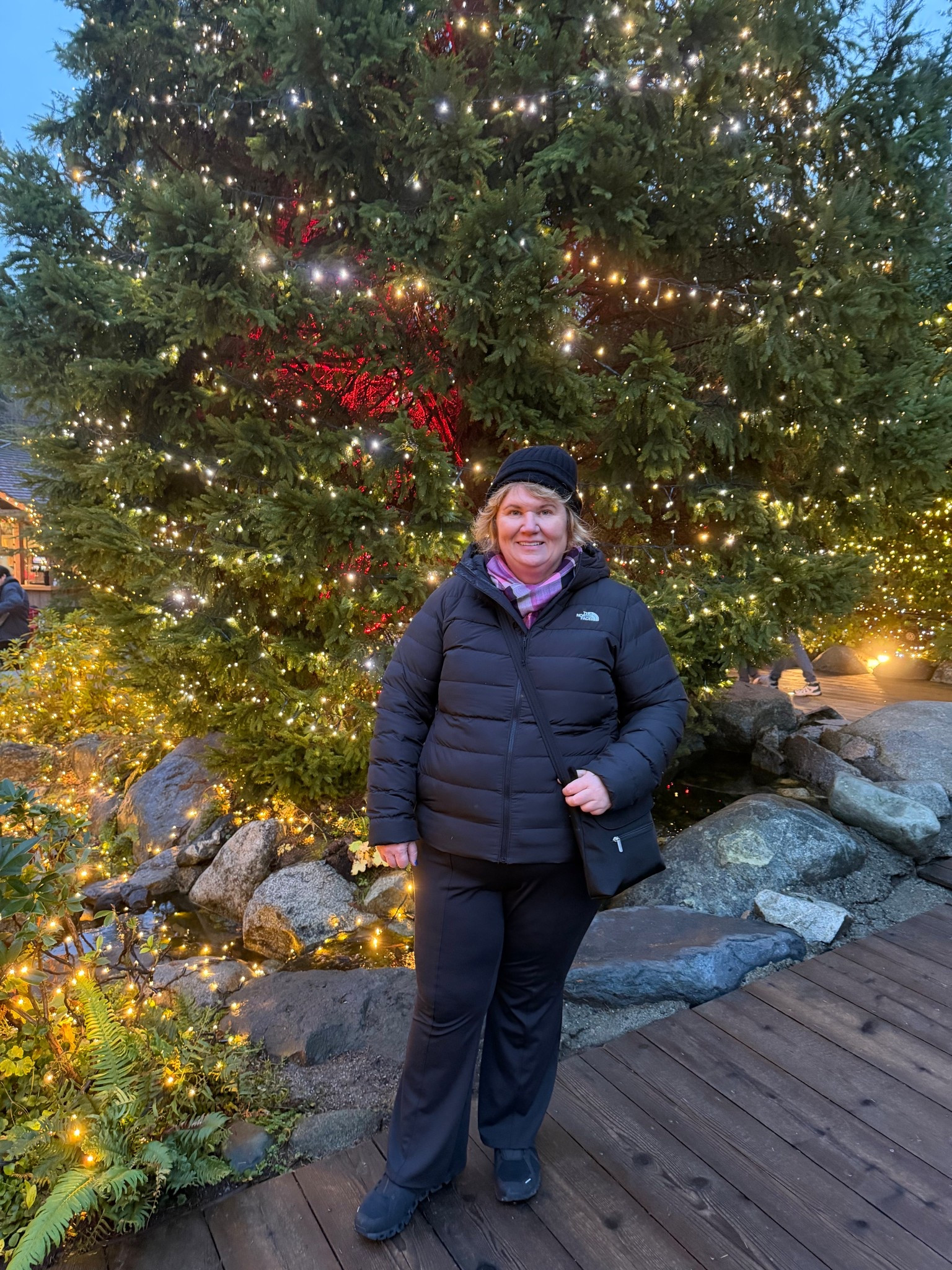 If you’re looking for a warm winter jacket this The North Face doesn’t disappoint. Also, ON makes great waterproof shoes. 
@thenorthface


#LTKootd #LTKPlusSize #LTKOver40