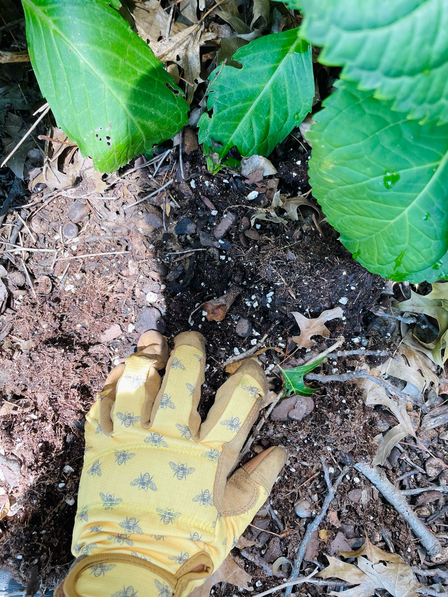 gardening gloves 

#LTKFindsUnder50 #LTKHome