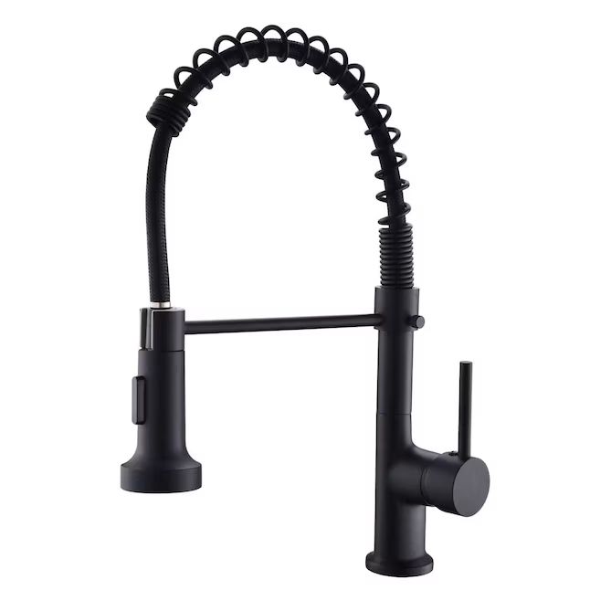 WELLFOR  Pull Down Kitchen Faucet Matte Black Single Handle Deck-mount Pull-down Handle Kitchen ... | Lowe's