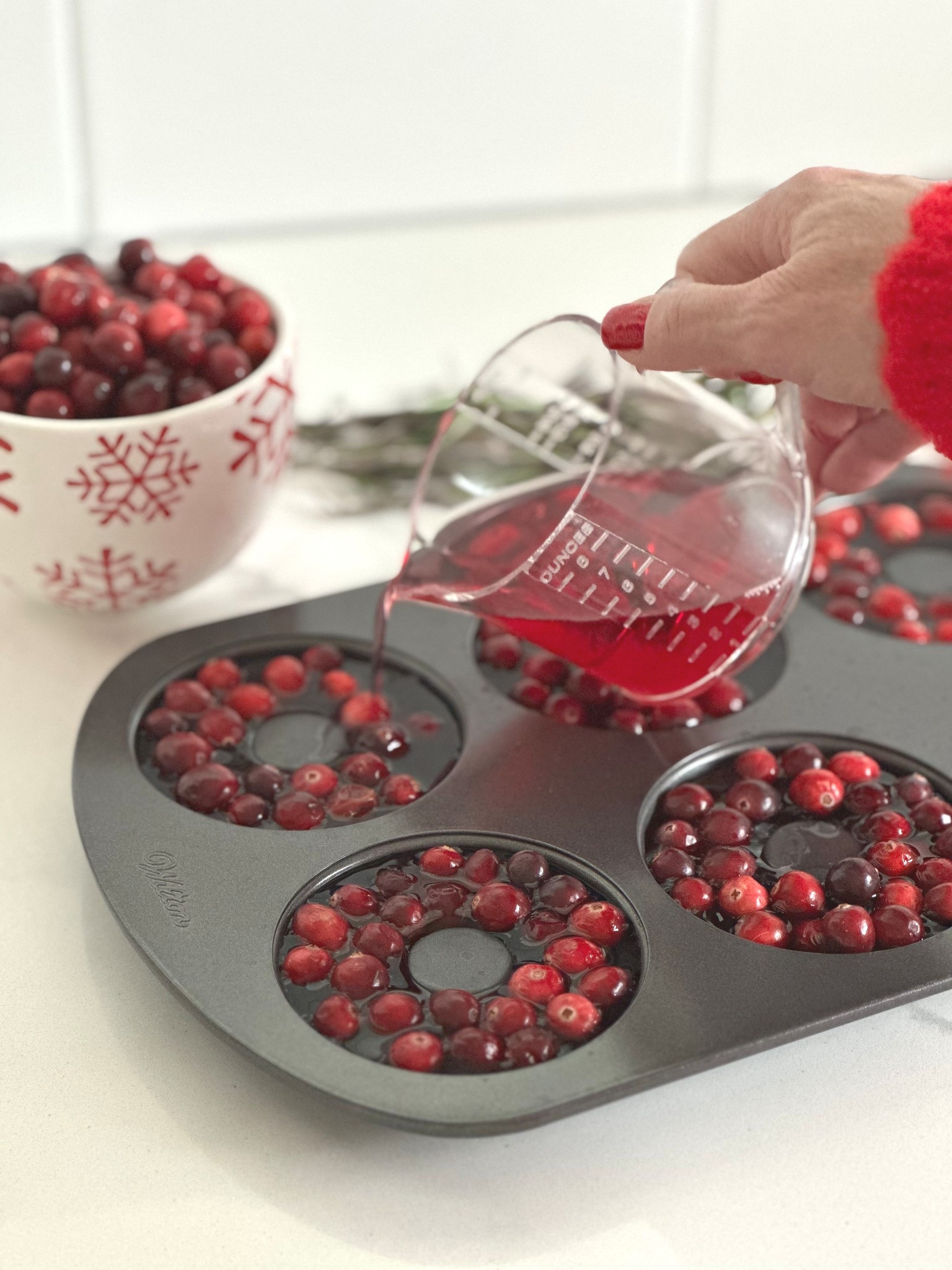 Wreath Ice Cubes! 

#LTKHome #LTKSeasonal #LTKHoliday