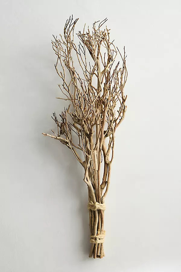 Dried Tea Tree Branches at Terrain | Terrain
