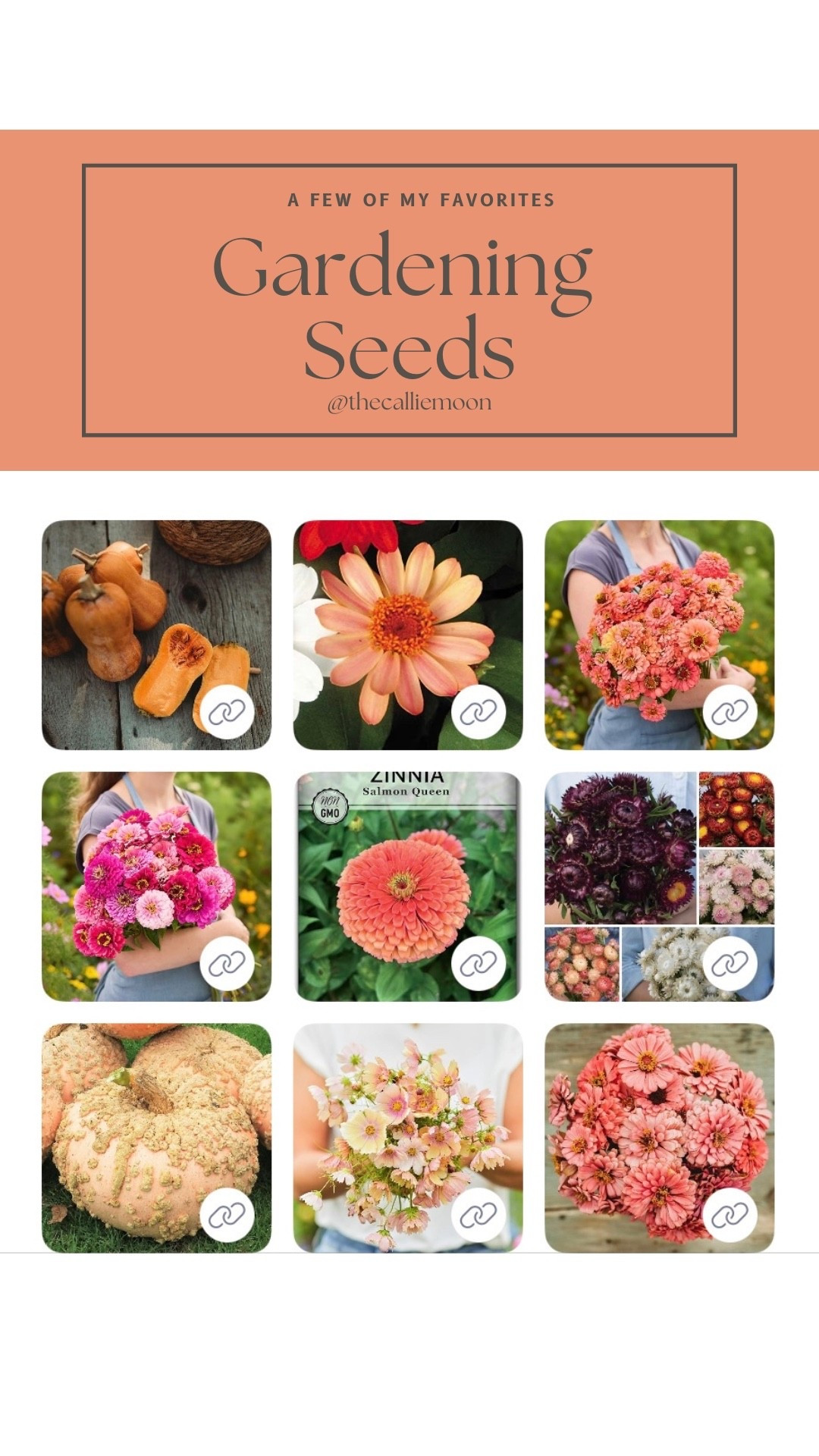 Gardening Seeds

#LTKSeasonal #LTKHome