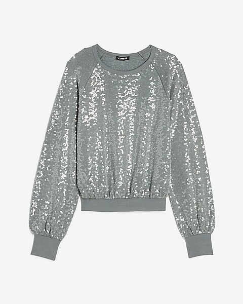Sequin Crew Neck Sweatshirt | Express