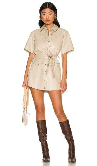 Alexandra Mini Dress in Bone | Revolve Clothing (Global)