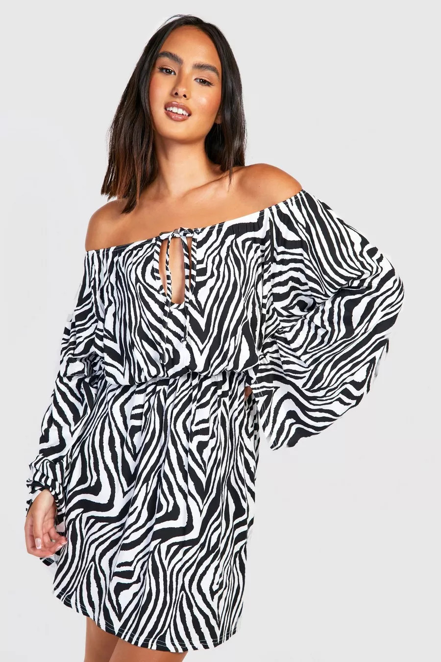 Zebra Flare Sleeve Tie Smock Dress | Boohoo.com (US & CA)