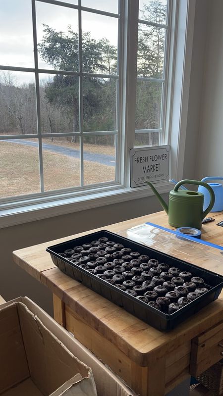 Everything you need to grow your seeds indoors! Seed starting is easy and fun! 

We recommend 1020 trays with a humidity dome to create the perfect environment for your plants. Reduce transplant shock by planting in pucks, and improve germination by using a heat mat. 




#LTKhome #LTKsalealert #LTKSpringSale