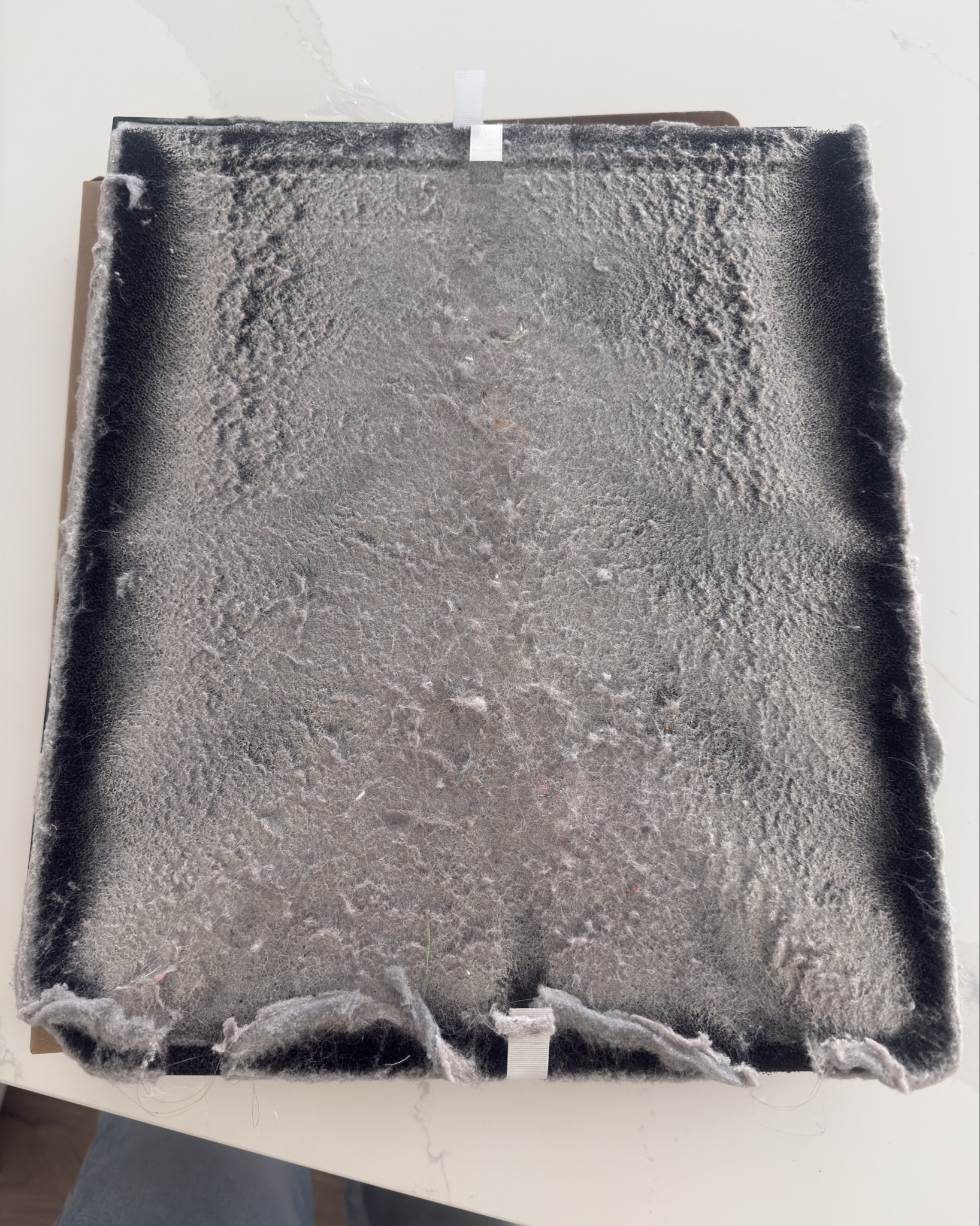 If you’re struggling with allergies, let this be your sign to get an air doctor purifier in your house. Yes, these should’ve been cleaned way before now🤦🏽‍♀️ but I’m still blown away by all that it captures. 

We have the 2000 in both of the kids rooms & will be getting the 5500 for our main living area once our renovation is done!

#LTKHome #LTKselfcare #LTKU