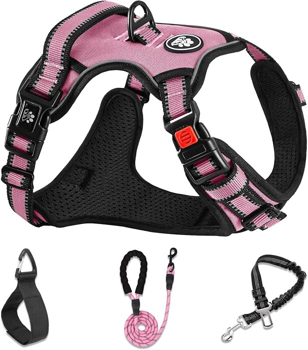 Dog Harness for Large Dogs,No Pull Dog Vest Harness with Leash,Reflective Adjustable Pet Harness ... | Amazon (US)