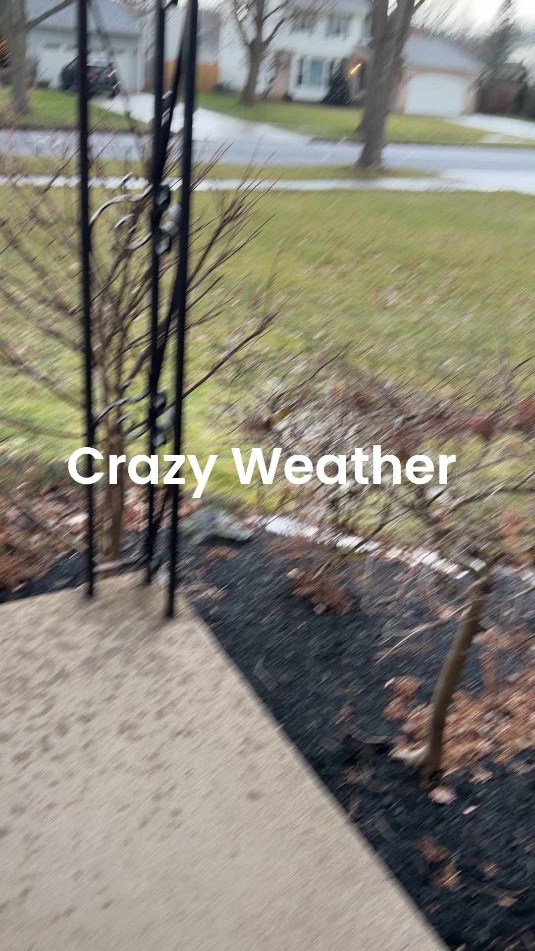Video looking out my front door. The Buffalo, NY weather has been crazy . 55° here today and it was sunny and now we have a high wind watch. Have to had extreme weather where you live today? 

#LTKdayinmylife