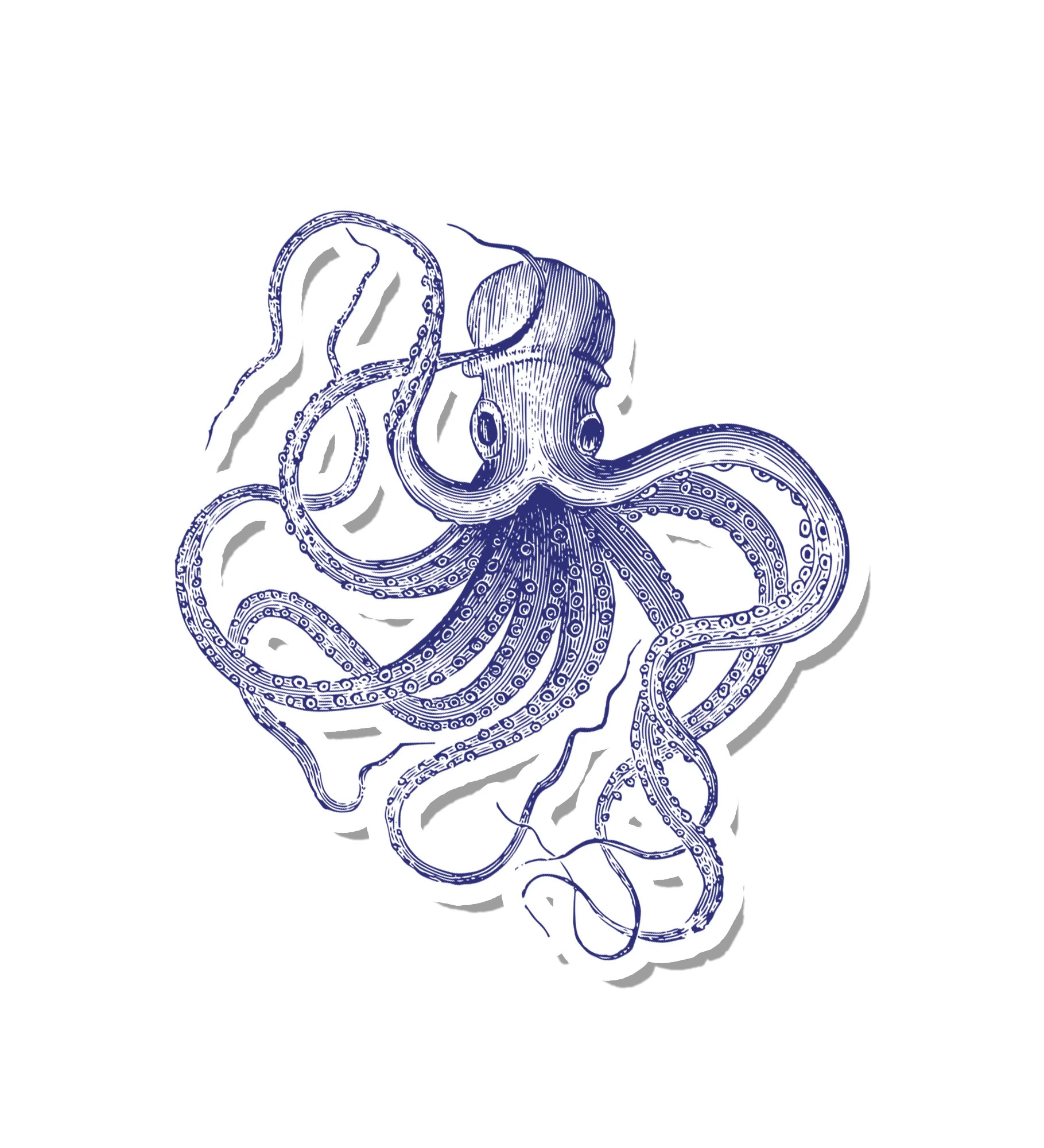 Vintage Ink Octopus | Suteka