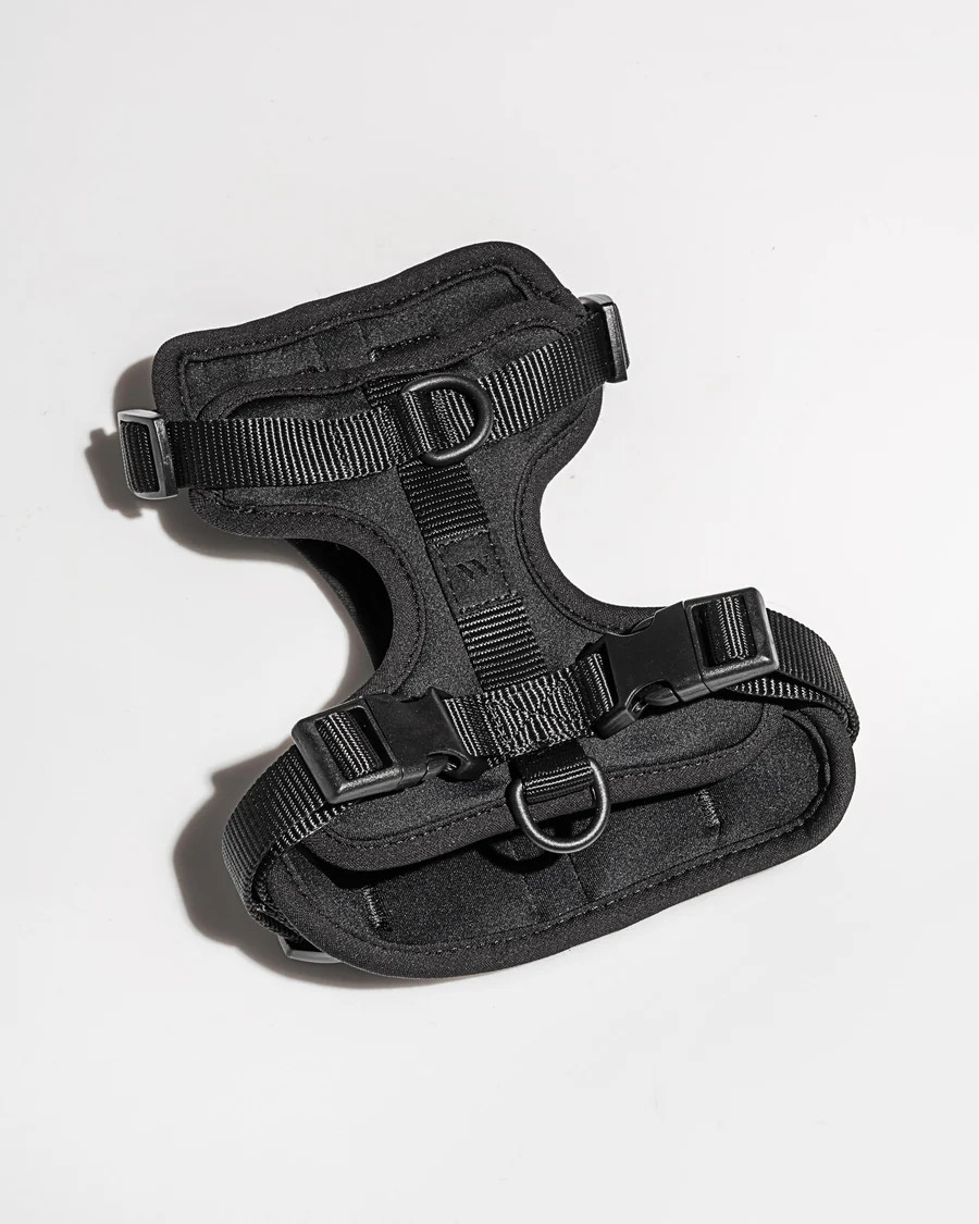 Comfort Dog Harness | Wild One | Wild One