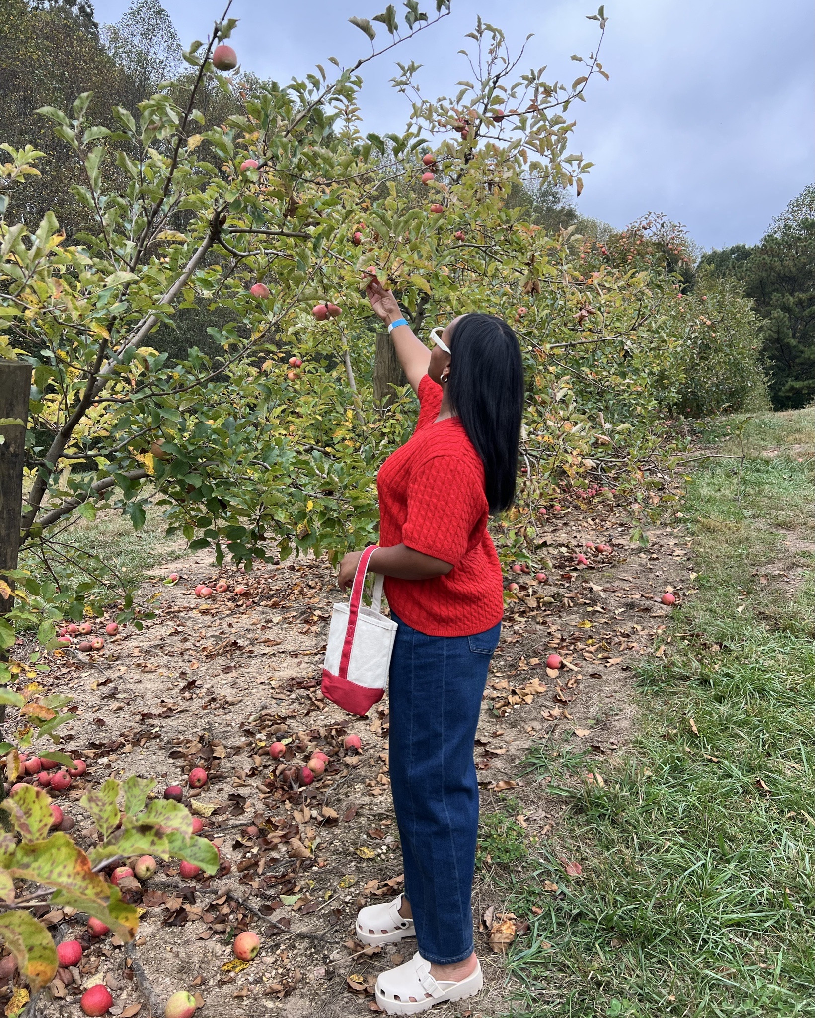 Apple picking outfit 🍎


Fall outfits, red cable knit short sleeve sweater, authentic 360 denim dark wash barrel leg jeans, H&M, SPANX, Amazon platform clog sandals

#LTKHoliday #LTKShoeCrush #LTKStyleTip