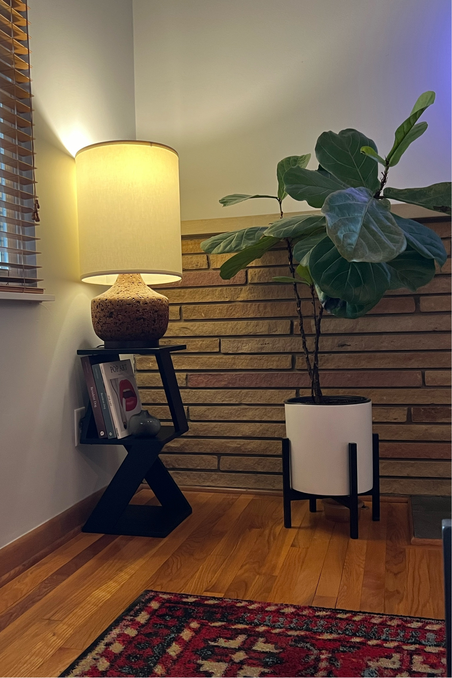 Building up this corner of the living room! Mirror coming soon🤩

#LTKhome #LTKstyletip #LTKfindsunder100