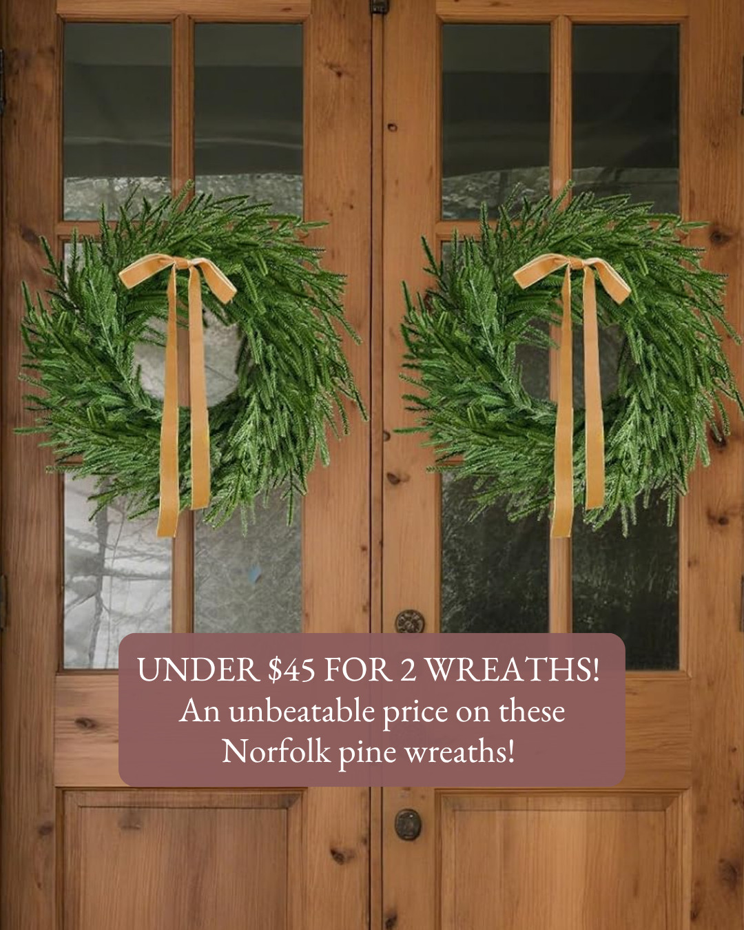 Under $45 for 2 wreaths with the Amazon Early Prime Deals! An unbeatable price on these real touch Norfolk pine wreaths. So pretty on double doors for the holidays. 

 #amazonprimedeals #earlyprimedeals #primeday #amazondeals #christmaswreath #norfolkpine #wreath #frontdoordecor #holidaydecor #christmasdecor #porchdecor #entryway #amazonhome #salealert #founditonamazon #LTKSaleAlert