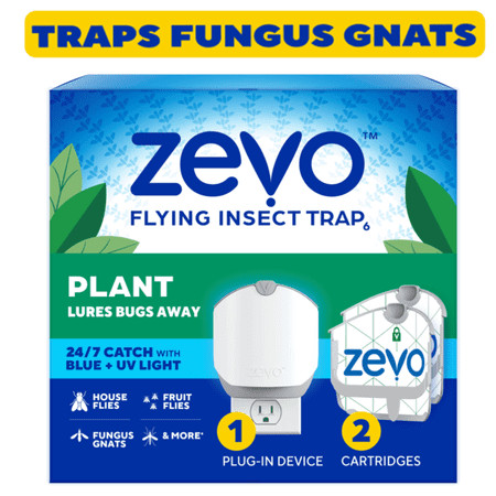 Zevo Plant Indoor Insect Trap: Effective Control for Fungus Gnats, House Flies, and Fruit Flies | Walmart (US)