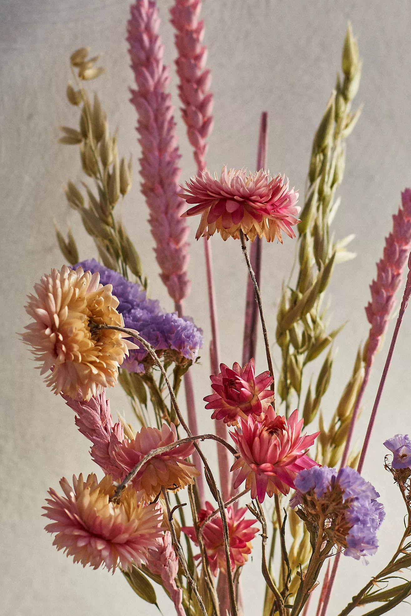 Sweetheart Posy Dried Bouquet | Anthropologie (US)