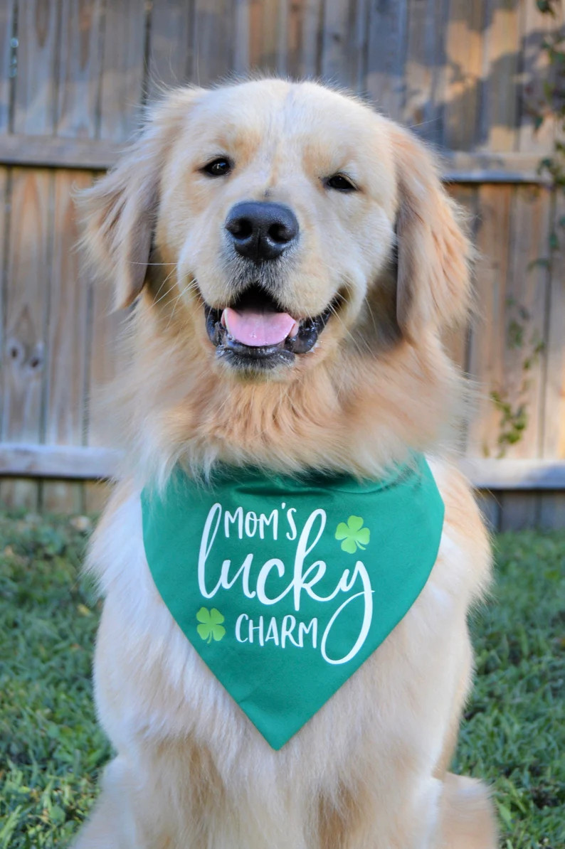 Dog Bandana  Green Dog Bandana  ST PATRICK'S Dog Bandana | Etsy | Etsy (US)