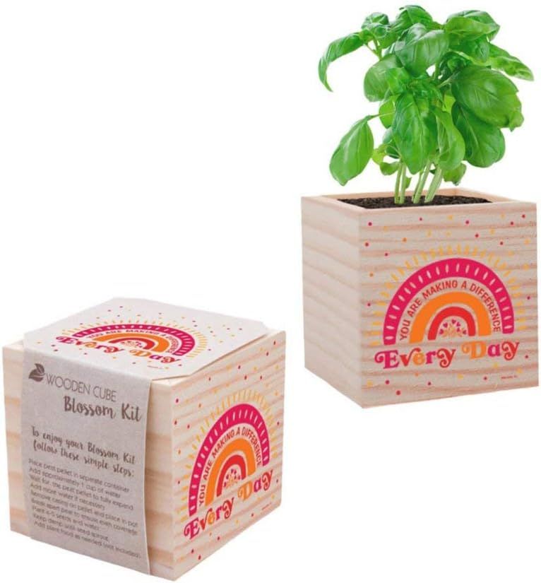 Plant Cube Appreciation Gift - Basil Seed Packet, Peat Pellet, and 3-inch Wooden Planter - Teache... | Amazon (US)