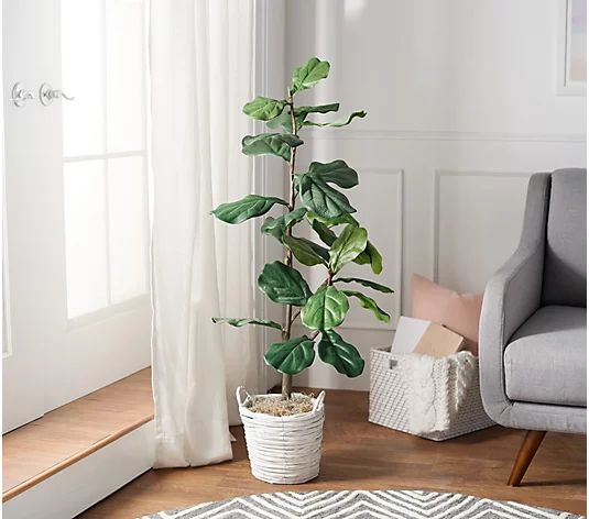 4' Faux Fiddle Leaf Tree in Starter Pot by Valerie - QVC.com | QVC