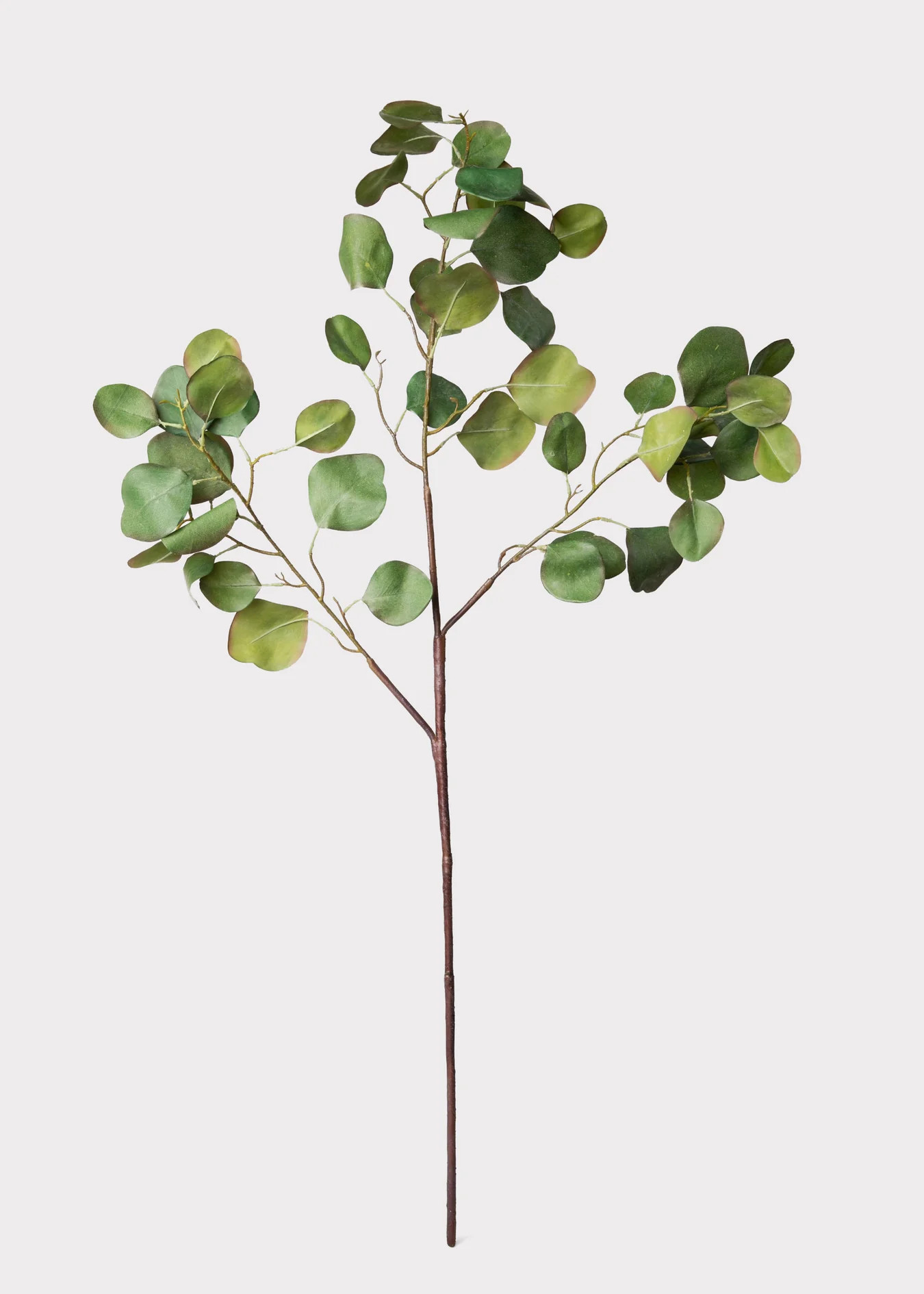 Silver Dollar Eucalyptus Branch | Lifelike Fake Green Stems | Afloral | Afloral