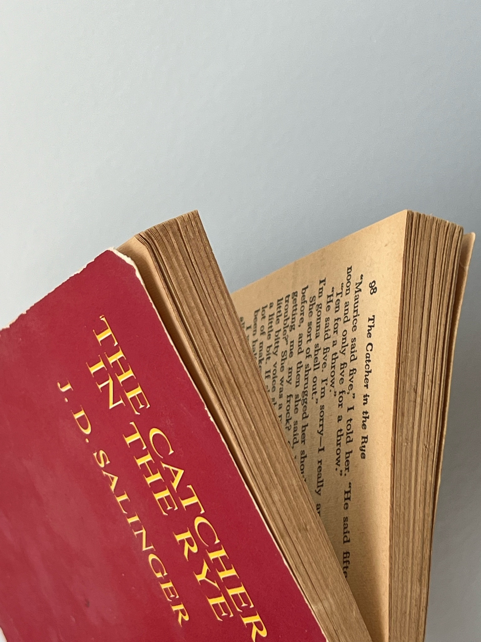 The catcher in the Rye #classicnovels

#LTKItBag #LTKFindsUnder100 #LTKStyleTip