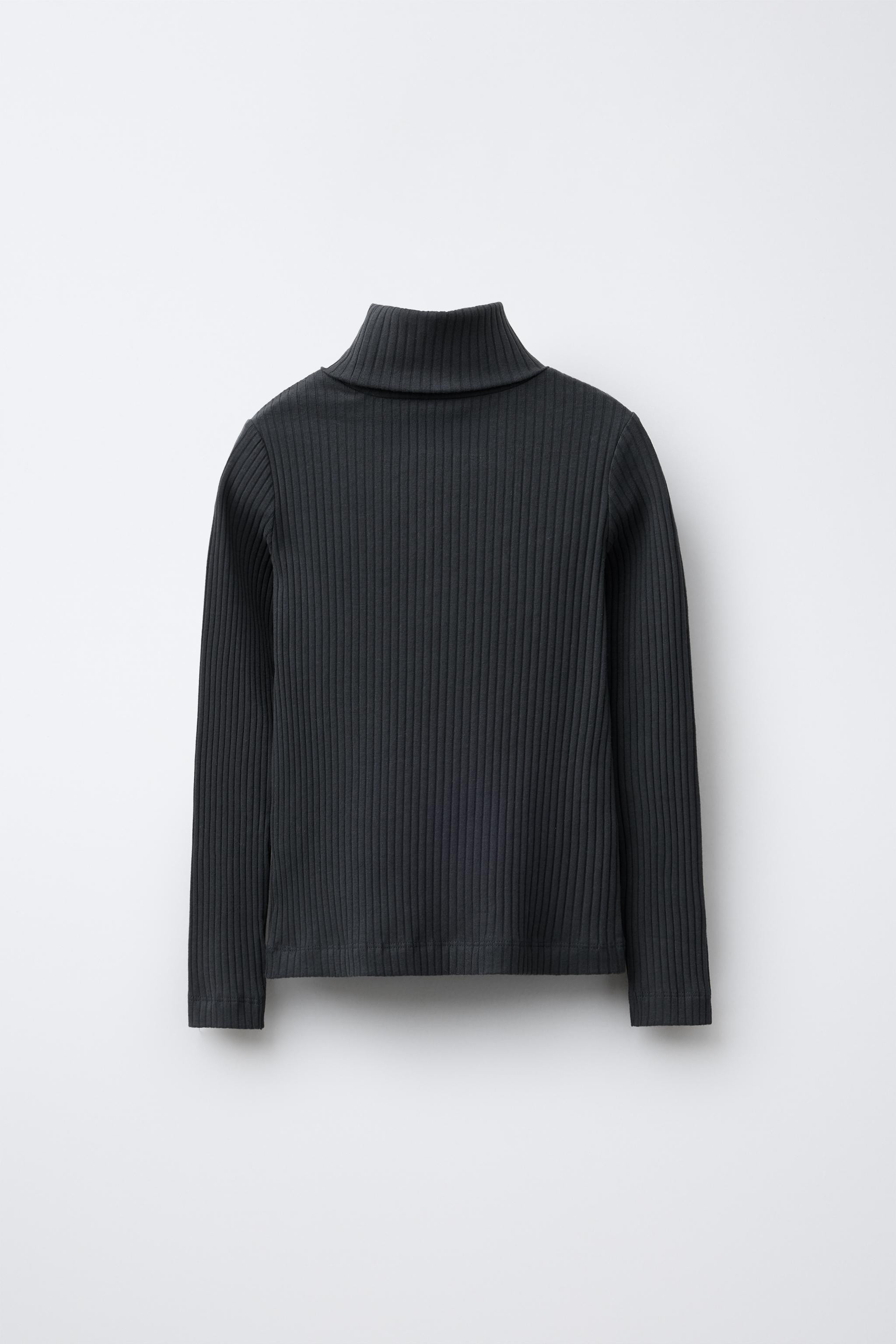 RIBBED TURTLENECK T-SHIRT | Zara US
